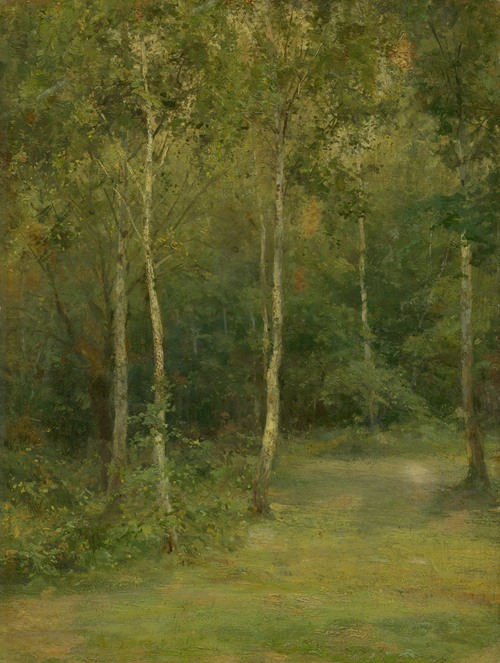 Wooded Landscape With Little Birches