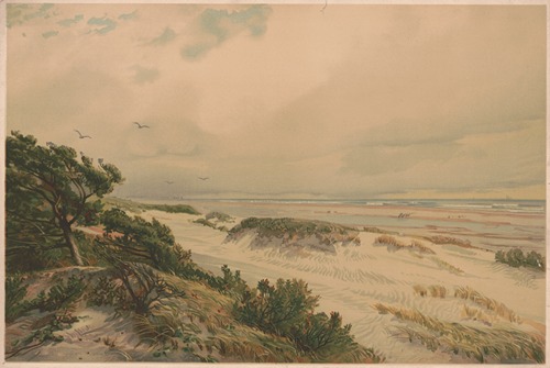 Sand hills of New Jersey