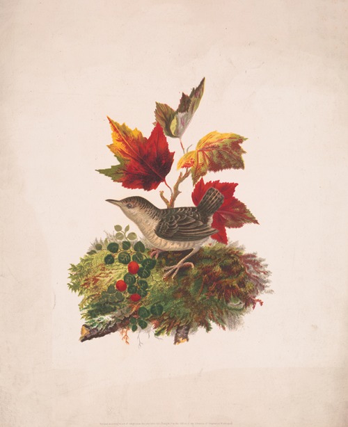 Bird with autumn foliage