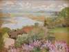 Valley of the Vistula from Zwierzyniec