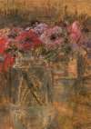 Flowers – Anemones
