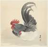 Hen and rooster